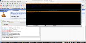 vlc_ncurses.png