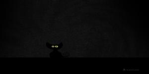 Black_Cat_in_Dark_Room_by_vladstudio.jpg